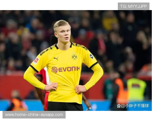 多特哈兰德旧将回归制造杀机