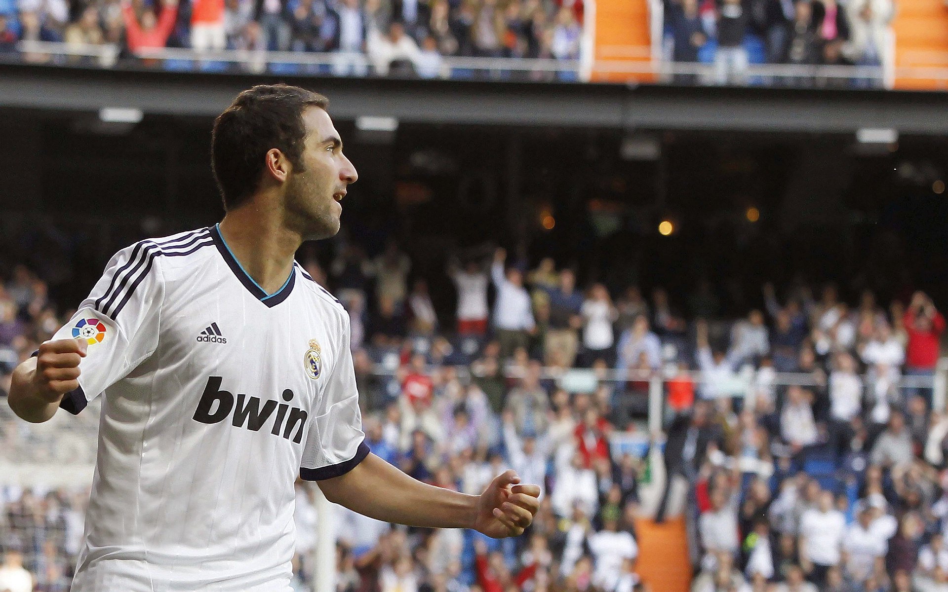 “未来无可限量：新秀崭露头角的剧烈演变”，新秀什么