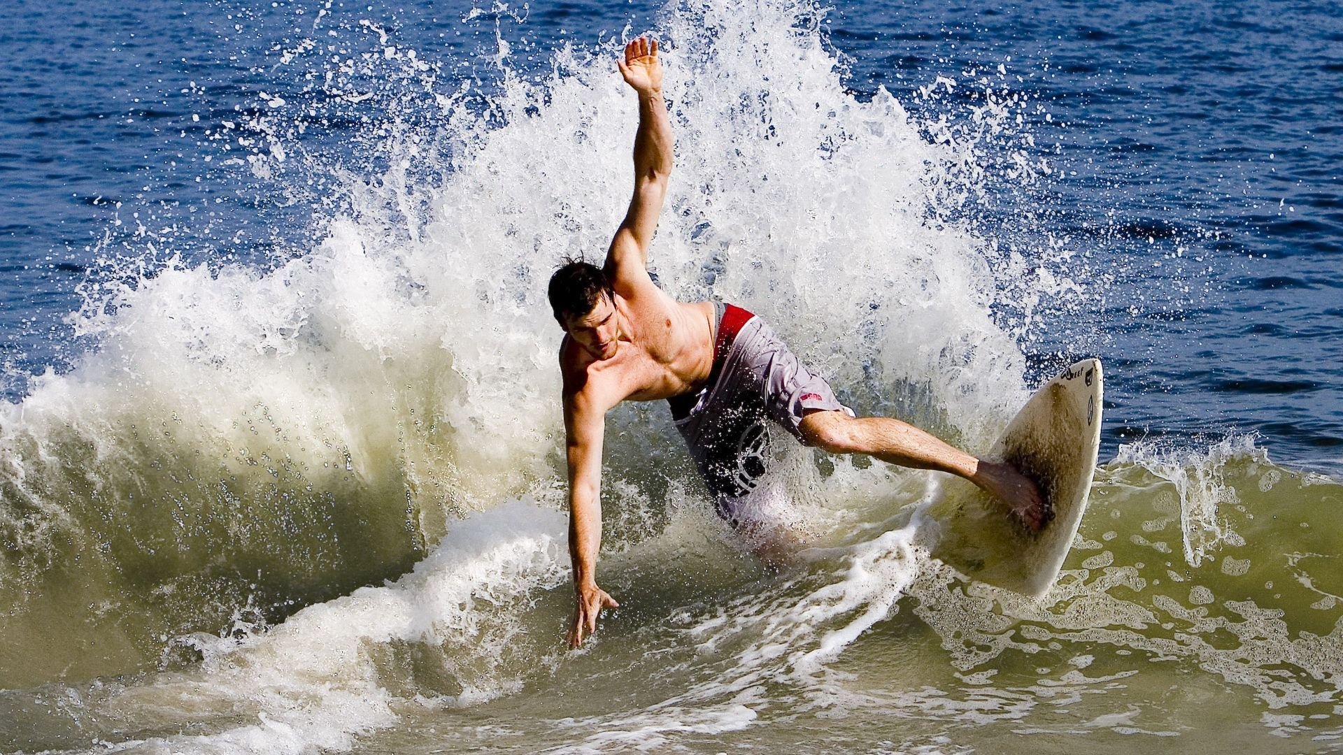 “未来无可限量:新秀崭露头角的剧烈演变”,新秀什么